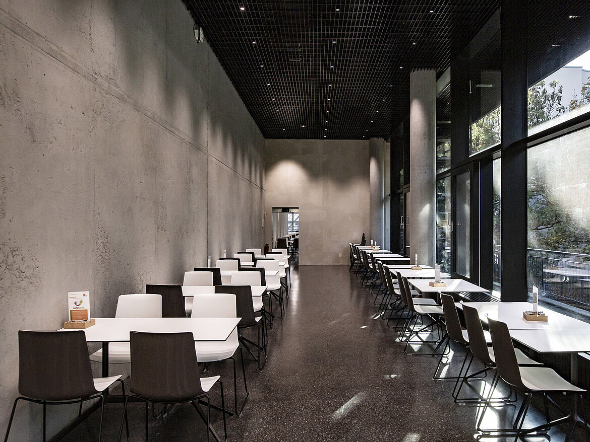 Ludwig Maximilian University, Munich [DE] | STARLAM open-cell ceiling with PUNTEO-J60 downlights | Photo: Ines Jenewein, Kai Otto Architects